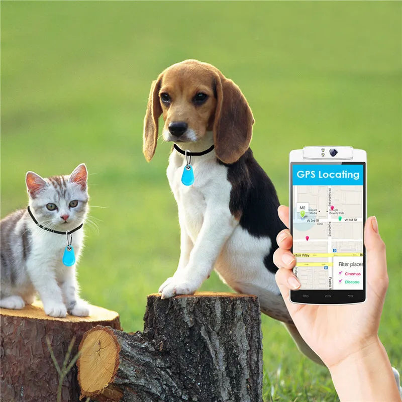 GPS Tag para animais domésticos